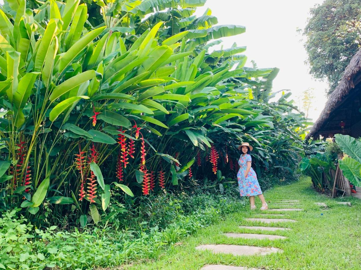 Luong Son Homestay Ecolodge Cao Bang Dış mekan fotoğraf