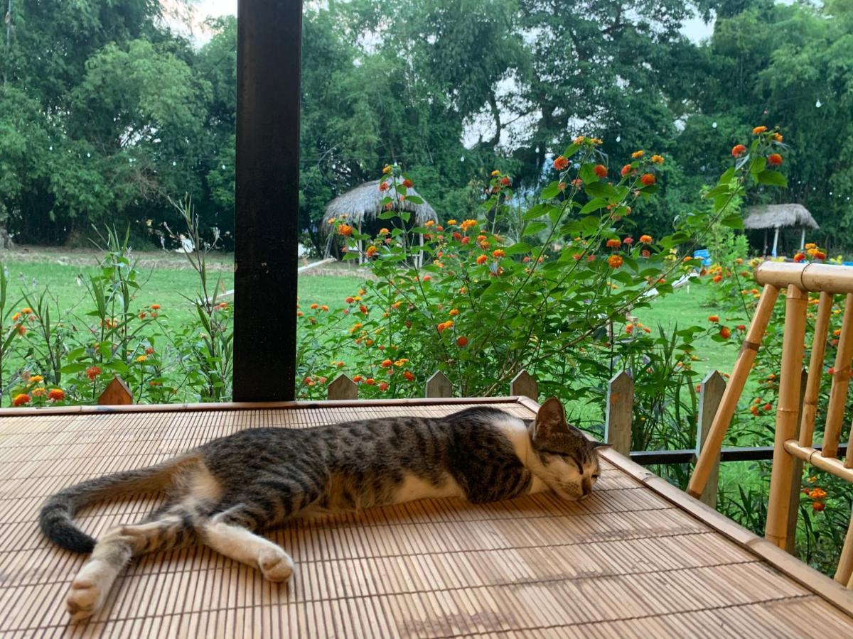 Luong Son Homestay Ecolodge Cao Bang Dış mekan fotoğraf