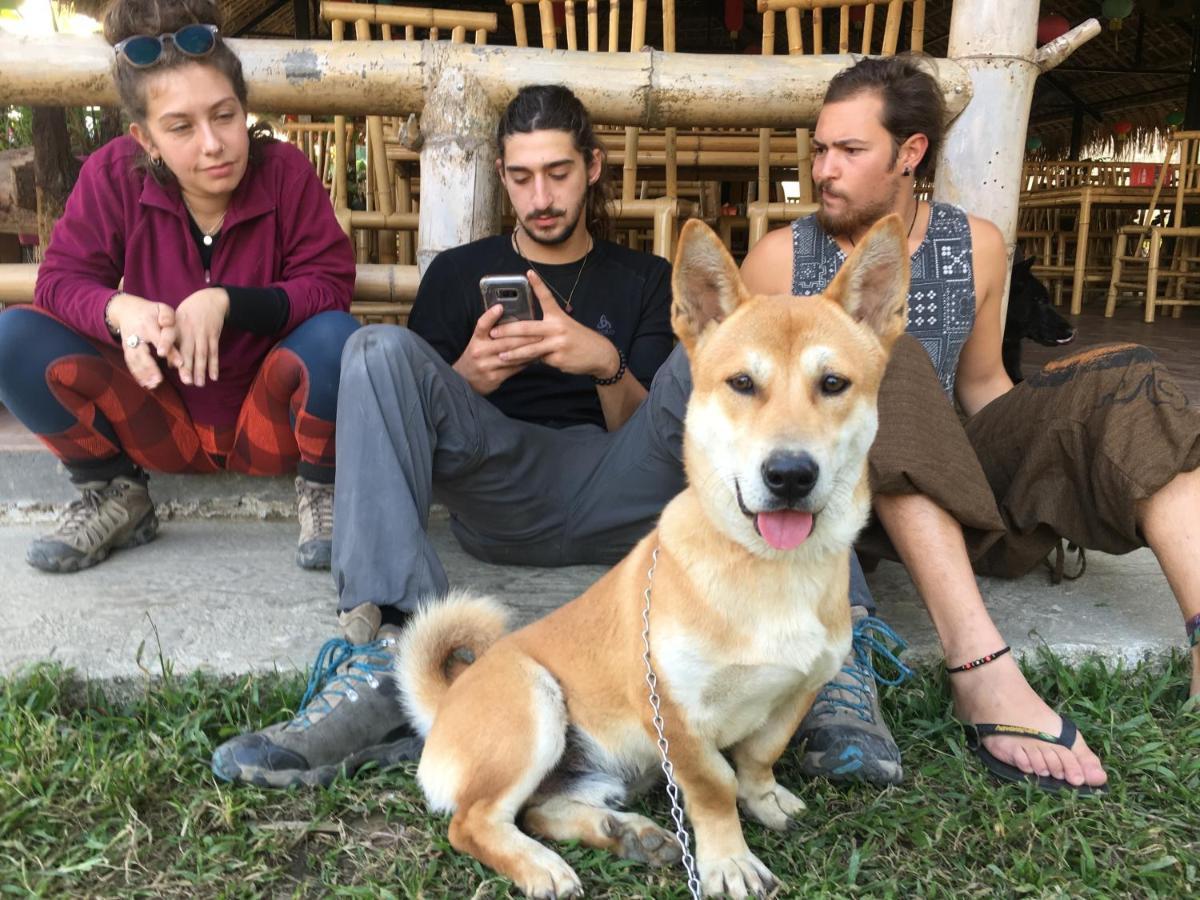 Luong Son Homestay Ecolodge Cao Bang Dış mekan fotoğraf