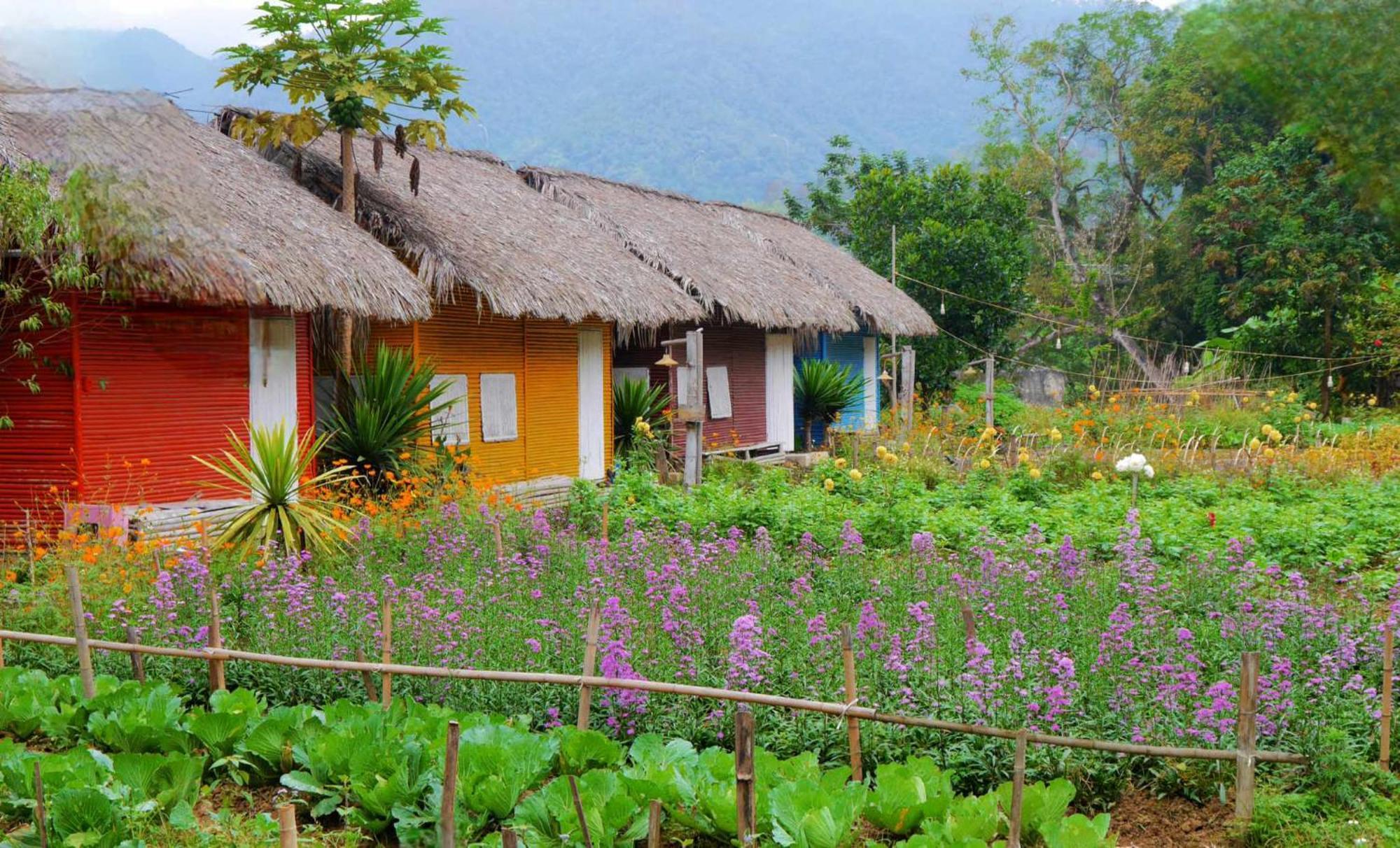 Luong Son Homestay Ecolodge Cao Bang Dış mekan fotoğraf