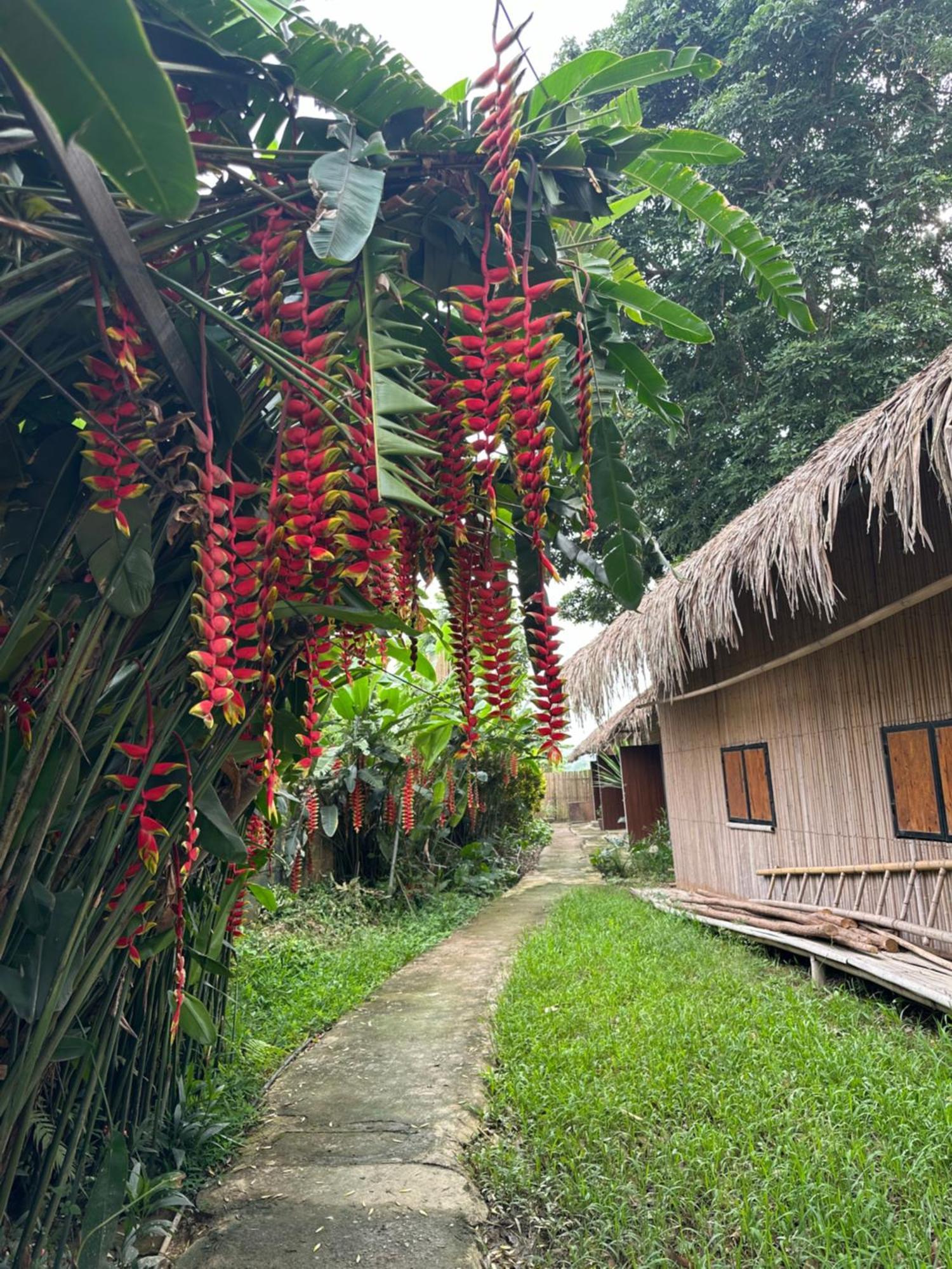 Luong Son Homestay Ecolodge Cao Bang Dış mekan fotoğraf